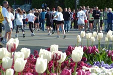 Click for TC10k photo gallery