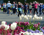 tc10k06_flowers1