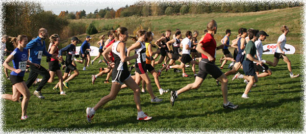 bcxc2010_jd