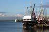 icebreak08_0250