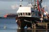icebreak08_0260