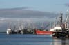 icebreak08_0266