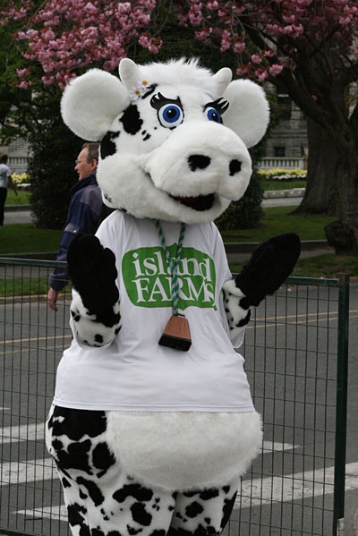 tc10k08_255