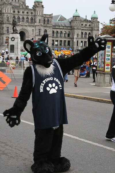 tc10k08_354