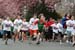 tc10k08_083