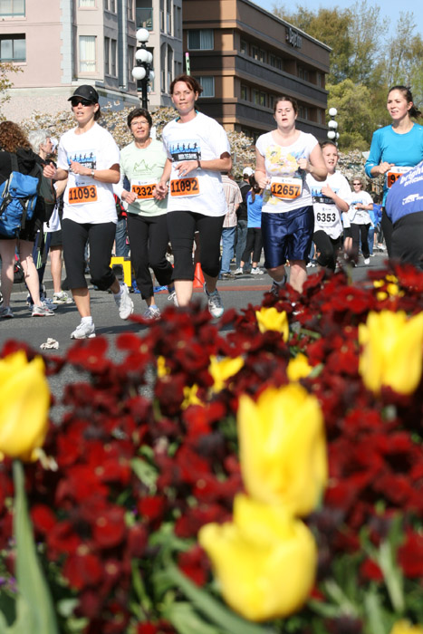 tc10k09_053